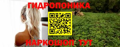 бошки Пушкино
