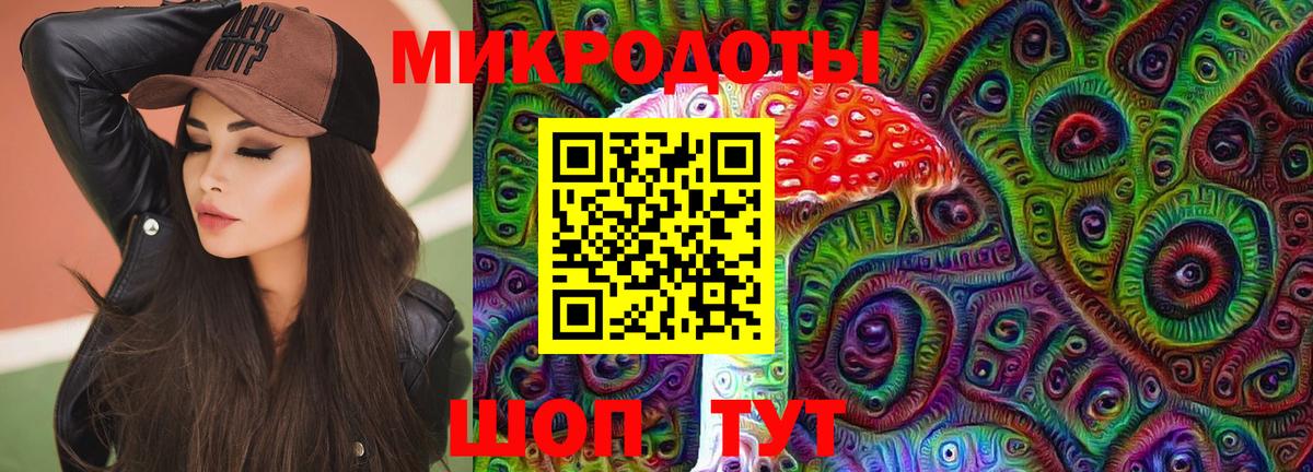 Псилоцибиновые грибы Psilocybine cubensis Реутов