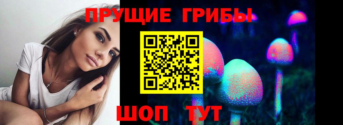 Реутов  Псилоцибиновые грибы прущие грибы  Вход с VPN 