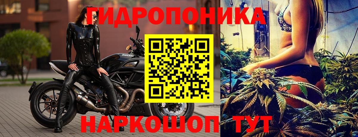 МАРИХУАНА конопля Реутов